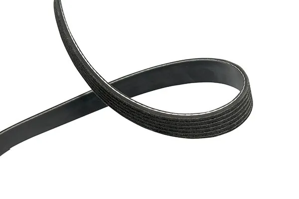 V-ribbed Belt